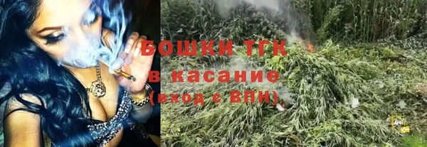 крисы Верхний Тагил